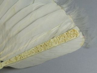 Antique Chinese Canton Carved Brise Goose Feather & Marabou Down Fan 7