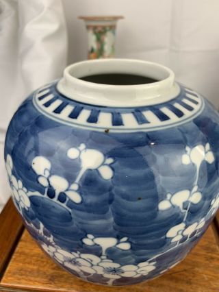 antique chinese blue and white ginger jar and cover 20.  5cm 10