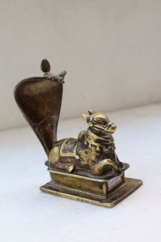 Antique Old Brass Hindu Religious Nandi Cow With Snake Shrine Nh3586