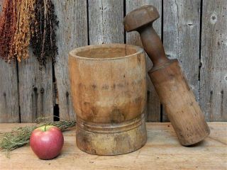 Huge AAFA Early Antique Primitive Wood Mortar & Pestle 1800 ' s Apothecary Pantry 12