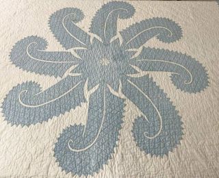 Beach House Blue c 1920s Princess Feather APPLQIUE Fine quilting 2