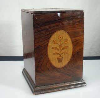 Antique Single Tea Caddy Box With Inlay - 54473