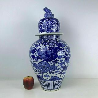 Large Chinese Blue & White Jar With Dragon Foo Lion Dog Decoration 21 "