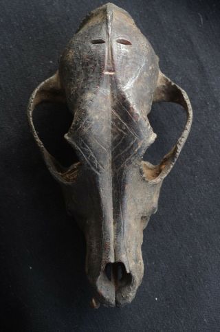 Ceremonial Carved Skull - West Timor