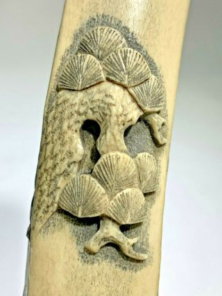Antique Rare Japanese 19th Century Carved Stag Antler Kiserazutsu Pipe Holder 5