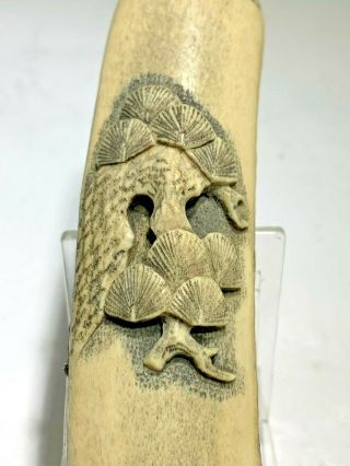 Antique Rare Japanese 19th Century Carved Stag Antler Kiserazutsu Pipe Holder 6