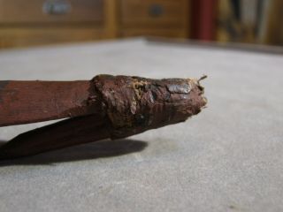 ABORIGINAL WOOMERA - Spear Thrower - Old Queensland Museum Piece 5