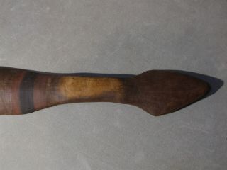 ABORIGINAL WOOMERA - Spear Thrower - Old Queensland Museum Piece 6