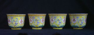 Antique Chinese Porcelain Cups