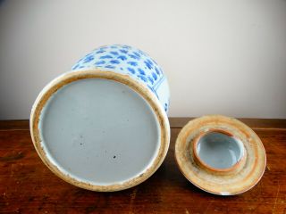 Antique Chinese Porcelain Temple Jar Vase Blue and White 19th Century Large 34cm 10