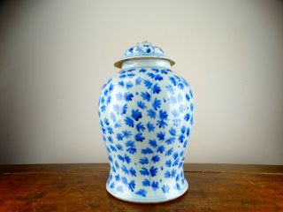 Antique Chinese Porcelain Temple Jar Vase Blue and White 19th Century Large 34cm 3