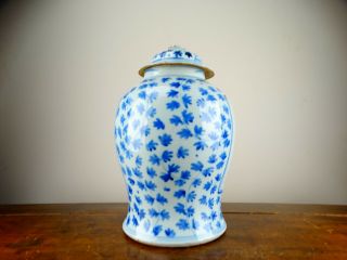 Antique Chinese Porcelain Temple Jar Vase Blue and White 19th Century Large 34cm 5