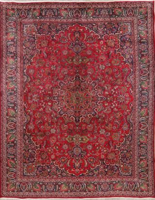 Vintage Traditional Floral Hand - Knotted Wool Area Rug Oriental Carpet 10 X 12