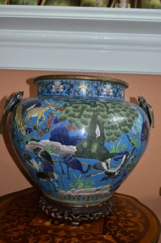 Qing Dynasty Large Chinese Cloisonne Jardiniere Cachepot W/fabulous Bird Handles