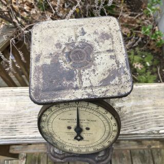 Antique C 1907 Kitchen Scale Columbia Family Landers Frary & Clark 24 lb 4