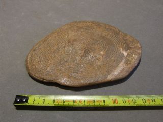 ABORIGINAL ROUND MESSAGE STONE - Western South Wales - Pre Contact 3