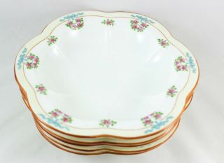 TIFFANY & CO SET 5 OYSTER BOWLS LENOX H30B CHINA PINK ROSE BLUE HAND ENAMELED 10