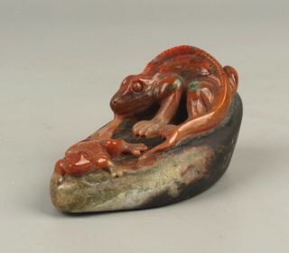 Chinese Exquisite Hand carved Lizard and frog carving Alashan rocks statue 4