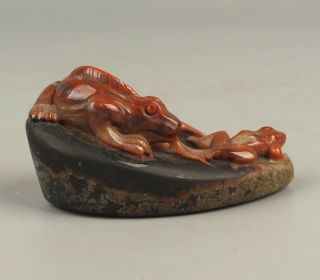 Chinese Exquisite Hand carved Lizard and frog carving Alashan rocks statue 6
