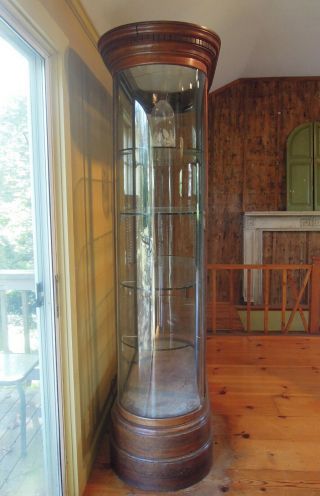 Antique English Mahogany and Glass Shop Display Cabinet,  Vitrine,  Curved glass 4