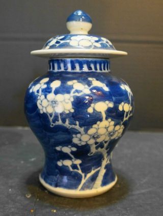 Chinese Porcelain Prunus Vase Ginger Jar With Cover Blue White Kangxi Circle Mar
