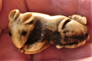 Antique Japanese Netsuke Of A Rat With Baby On It 