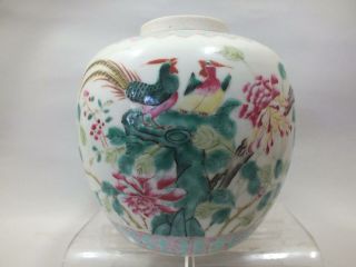 A Chinese Porcelain Balaster Jar With Exotic Bird Decor 19th Century