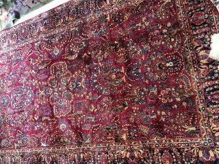 Auth: 30 ' s Antique Sarouk Traditional Botanical Persian Beauty Red 9x16 NR 5