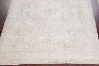 Antique Geometric IVORY/SILVER GREY Muted Persian Distressed Wool Area Rug 10x12 5