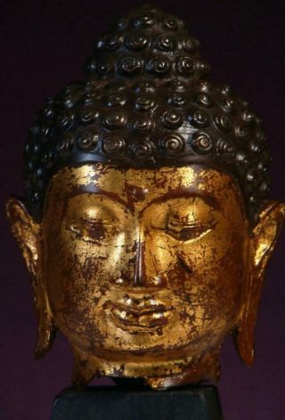 Buddha: Antique Tibetan Head,  Gilded Bronze,  1800s,  Wonderful Patina