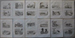 1835 - Dumont D Urville - Australia Sydney Port Jackson 24 Engravings 12 Leaves
