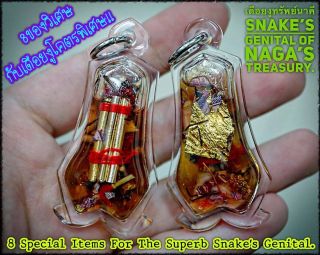 Magic Snake Amulet Lp Ajarn O Thai Amulet Increase Fortune Wealth Lucky Gambling