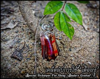Magic Snake Amulet LP Ajarn O Thai Amulet increase Fortune Wealth Lucky Gambling 5