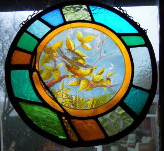 Painted Bird Victorian English Antique Stained Glass Window Circa 1870 2