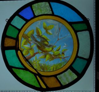 Painted Bird Victorian English Antique Stained Glass Window Circa 1870 6