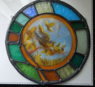 Painted Bird Victorian English Antique Stained Glass Window Circa 1870 7