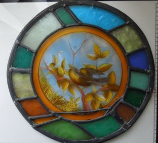 Painted Bird Victorian English Antique Stained Glass Window Circa 1870 8