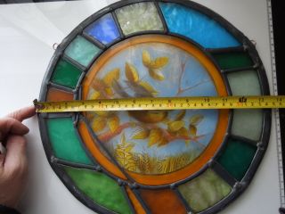 Painted Bird Victorian English Antique Stained Glass Window Circa 1870 9