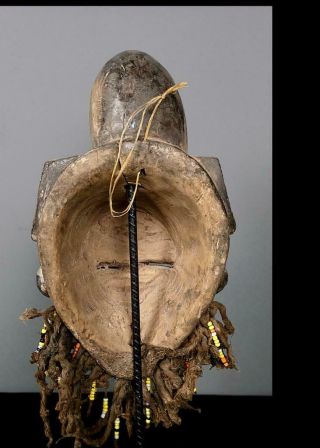 Old Tribal Punu Maiden Spirit Mask - Gabon 4