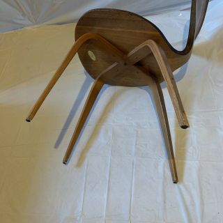 Mid Century Chair Norman Cherner for Plycraft Danish Modern Plywood Side Chair 5