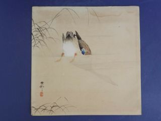 Japanese Ohara Koson Surimono Woodblock Print " Diving Mallard "