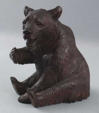 Antique,  Swiss Black Forest,  Hand Carved Grizzly Bear,  Tobacco Pipe Holder 5