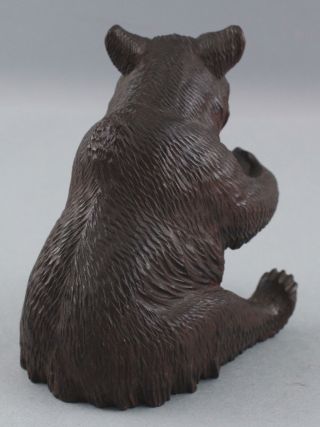 Antique,  Swiss Black Forest,  Hand Carved Grizzly Bear,  Tobacco Pipe Holder 6