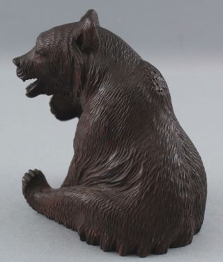 Antique,  Swiss Black Forest,  Hand Carved Grizzly Bear,  Tobacco Pipe Holder 7
