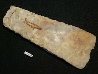5200y.  O: Great Ax Thin Bladed 152mms Danish Stone Age Neolithic Flint Silex Trb