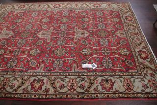 Antique Geometric RED SKY BLUE Persian Oriental Area Rug Hand - Knotted Wool 7x9 12