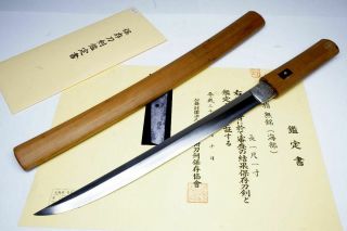 Nbthk Attested Japanese Wakizashi Sword " Kaifu海部 " 420yr Samurai Katana Nihonto