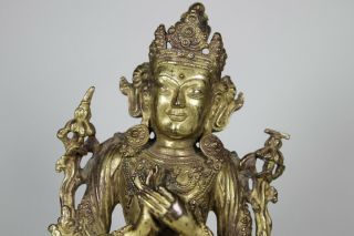 Antique Chinese Sino - Tibetan 19th /20th Century Gilt Bronze Buddha Bodhisattva 6