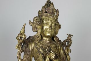 Antique Chinese Sino - Tibetan 19th /20th Century Gilt Bronze Buddha Bodhisattva 8