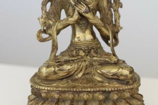 Antique Chinese Sino - Tibetan 19th /20th Century Gilt Bronze Buddha Bodhisattva 9